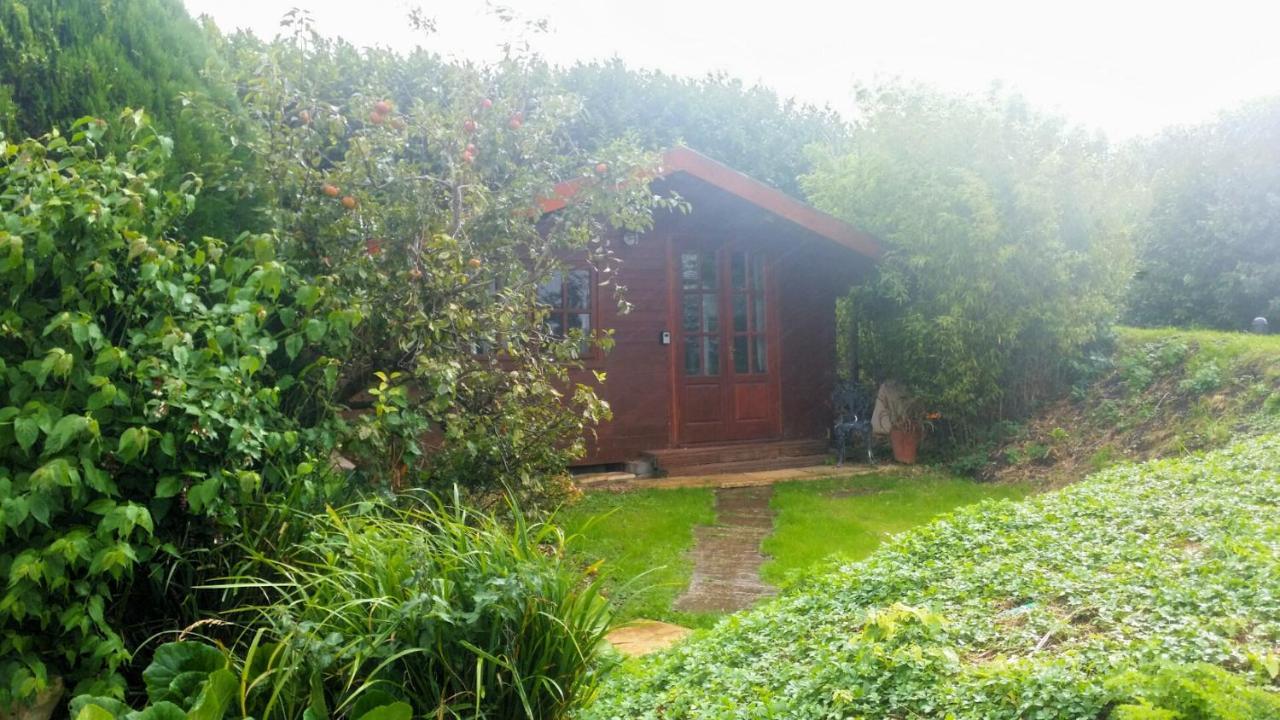 Bridge Farm Guesthouse Rooms Dundry Eksteriør bilde
